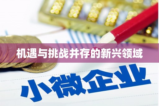 修水机遇与挑战并存的新兴领域
