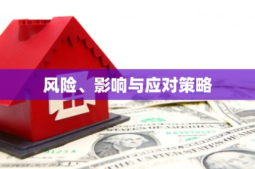 修水风险、影响与应对策略