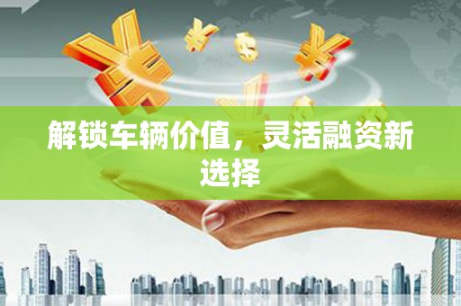 修水解锁车辆价值，灵活融资新选择