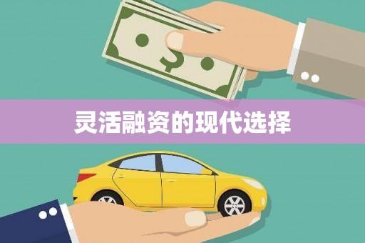 修水灵活融资的现代选择