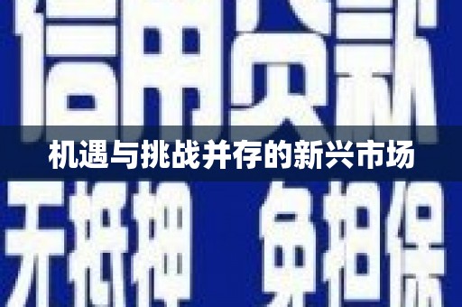 修水机遇与挑战并存的新兴市场