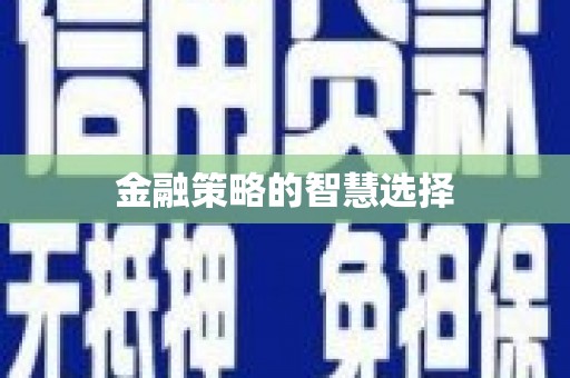 修水金融策略的智慧选择
