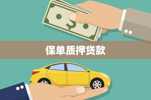 修水保单质押贷款