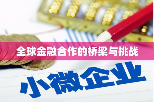 修水全球金融合作的桥梁与挑战
