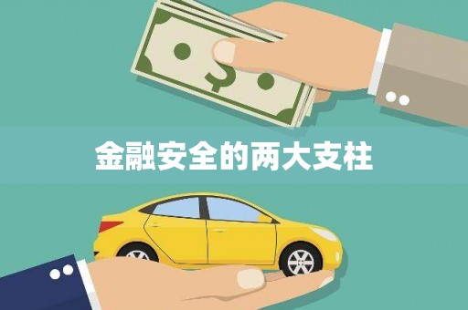 修水金融安全的两大支柱