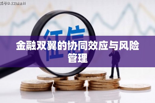 修水金融双翼的协同效应与风险管理
