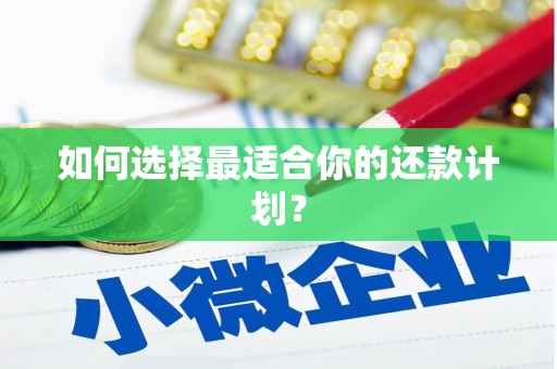 修水如何选择最适合你的还款计划？