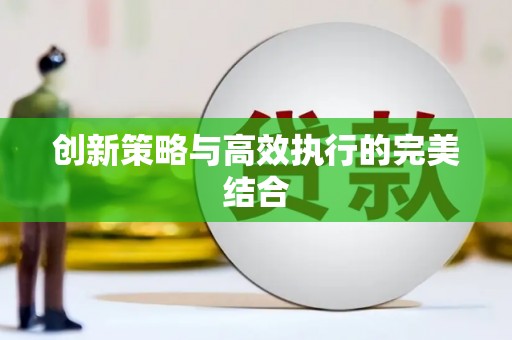 修水创新策略与高效执行的完美结合