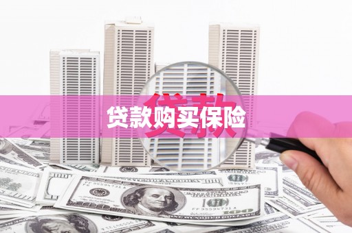 修水贷款购买保险
