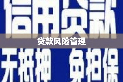 修水贷款风险管理