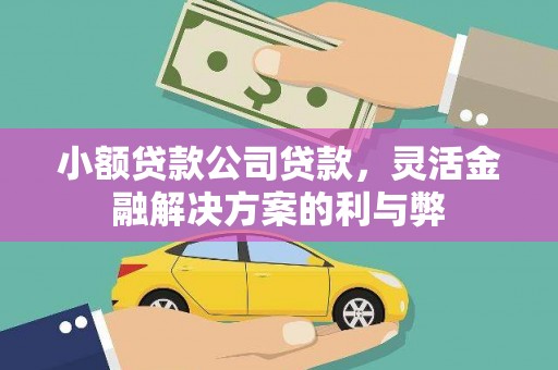 修水小额贷款公司贷款，灵活金融解决方案的利与弊