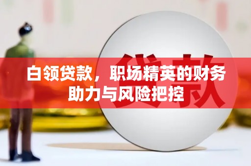 修水白领贷款，职场精英的财务助力与风险把控