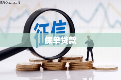 修水保单贷款